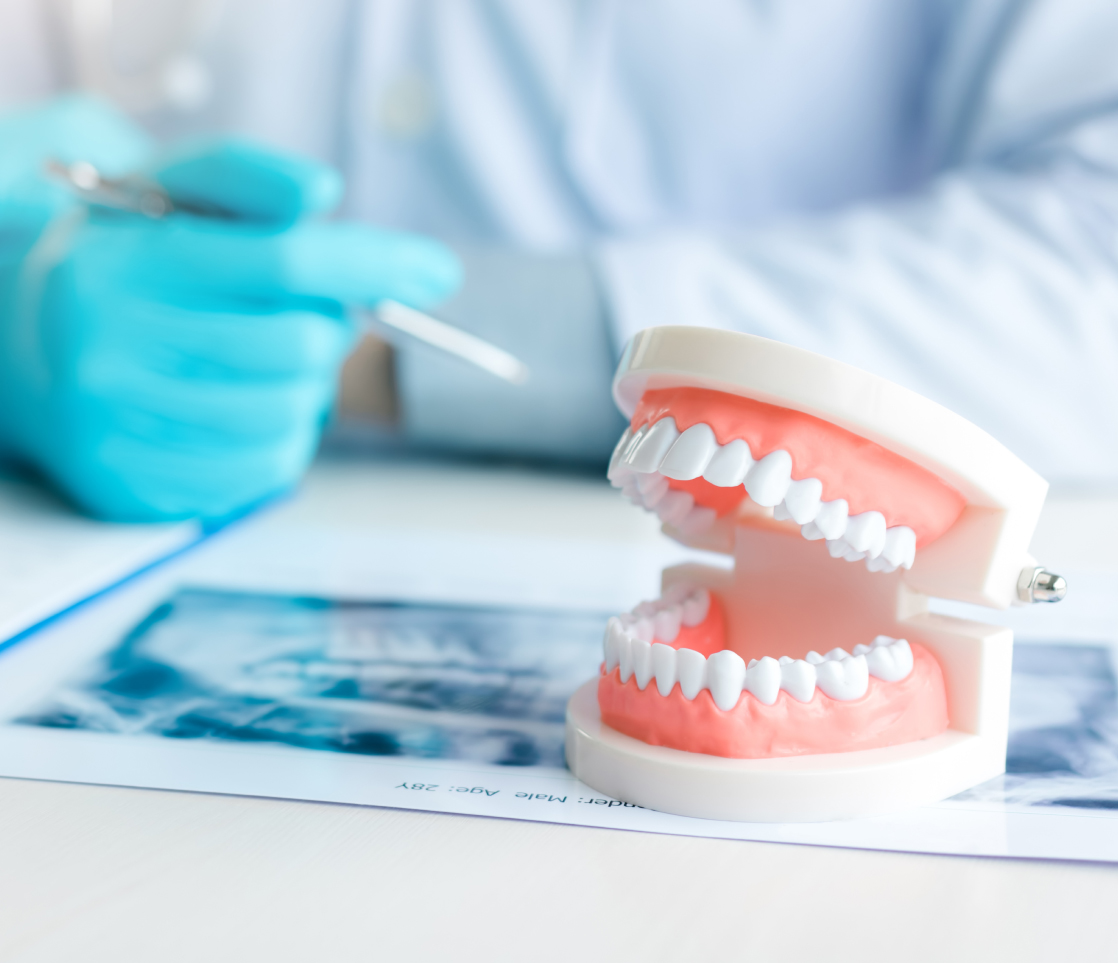 Regular Orthodontic Appointments